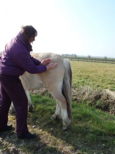 Kloppen met zijkant handen